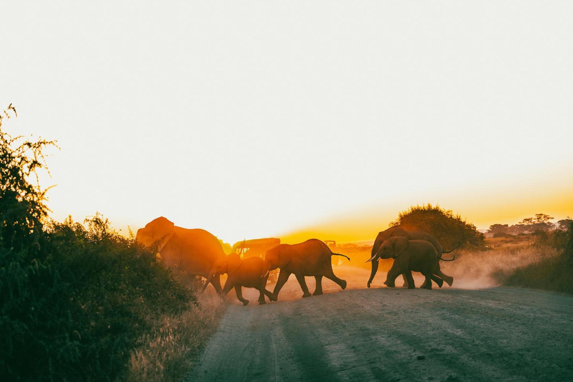 Amboseli Glass House Oloitokitok Zewnętrze zdjęcie