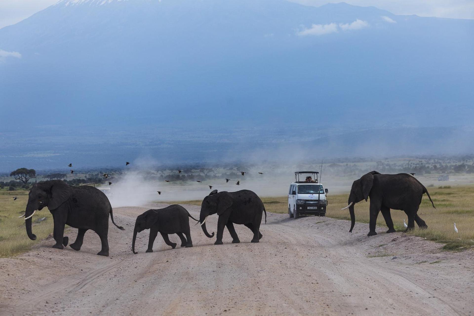 Amboseli Glass House Oloitokitok Zewnętrze zdjęcie