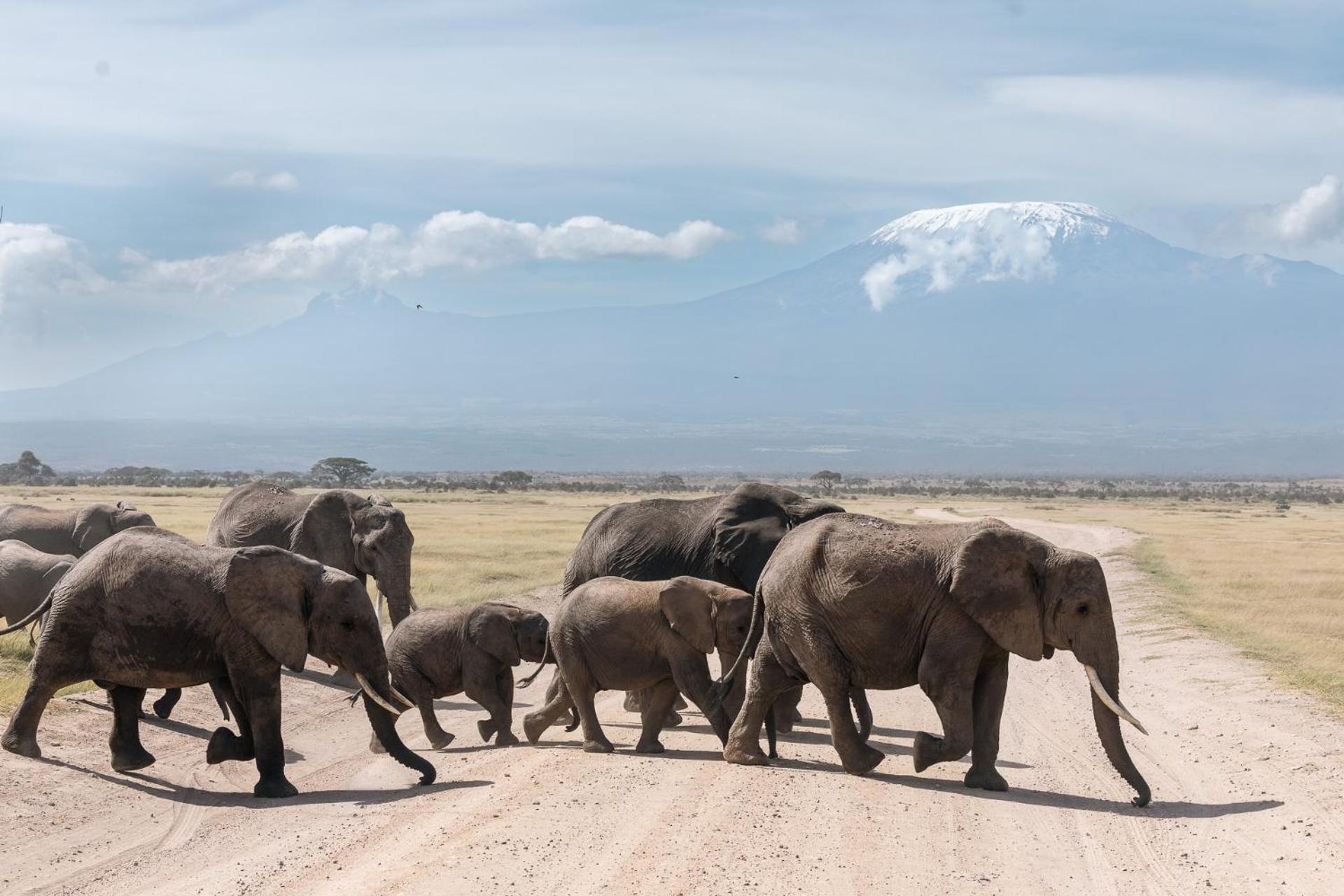 Amboseli Glass House Oloitokitok Zewnętrze zdjęcie